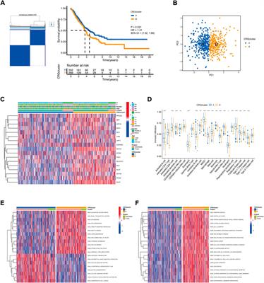 Molecular subtypes based on cuproptosis-related genes and immune profiles in lung adenocarcinoma